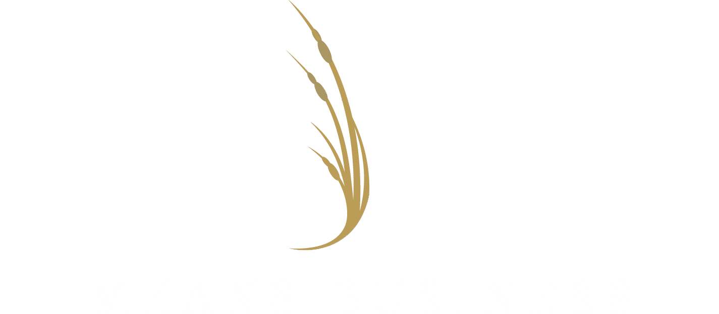 ICONA Means Business Logo